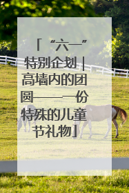 “六一”特别企划｜高墙内的团圆——一份特殊的儿童节礼物